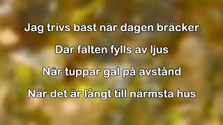 Öppna landskap karaoke  lyrics [upl. by Casey]