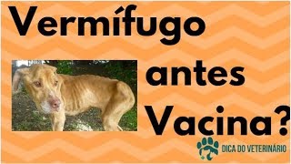 Vermífugo no Filhote Antes da Vacina  Macarrãozinho Nas Fezes  Dica do Veterinário [upl. by Coleen]