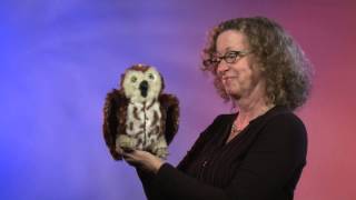 Folkmanis® Sawwhet Owl Puppet Demo  Retired [upl. by Rann]