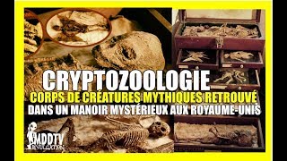 CRYPTOZOOLOGIE  CORPS DE CRÉATURES MYTHIQUES RETROUVÉ AUX ROYAUMEUNIS MDDTV [upl. by Thorlie]