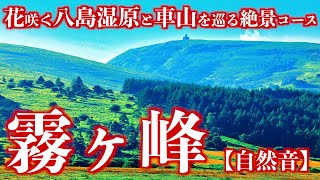 【登山】夏の霧ヶ峰｜花咲く八島湿原と車山と蝶々深山を巡る絶景コース自然音＜Japan in 4K／Nature Sound＞ [upl. by Myrt360]