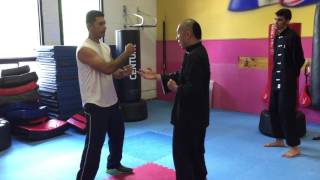 Wing Chun Kung Fu  Hand Deflections and Stance [upl. by Oab237]