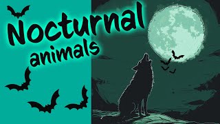 🎬 Nocturnal Animals for Kids and their Sounds  Educational Videos  Series 3 of 3 [upl. by Kilian308]