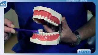 Comment se Brosser les Dents Correctement [upl. by Kralc203]