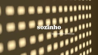 sozinho  caetano veloso cover [upl. by Bringhurst23]