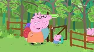 PEPPA PIG  II PICNIC NEL BOSCO [upl. by Ashti]