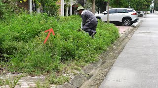 Discovered a MYSTERY under the overgrown grass while cleaning the sidewalk between two white villas [upl. by Arracahs]