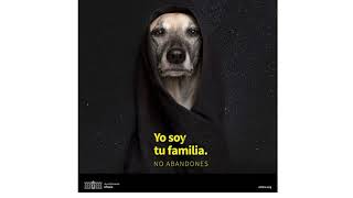 YO SOY TU FAMILIA NO ABANDONES [upl. by Dustie]