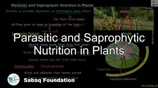 Parasitic and Saprophytic Nutrition in Plants Biology Lecture  Sabaqpk [upl. by Hauck]