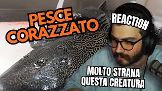 VOLPESCU Reagisce a Ho PROVATO a MANGIARE un PESCE CORAZZATO DACCIAIO [upl. by Temp115]