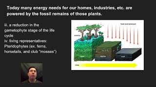 Honor Biology Video 91 Plants evolved onto land [upl. by Anaitsirc]