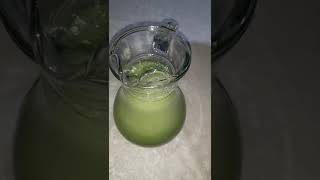 Homemade Tarragon Soft Drink [upl. by Olbap610]