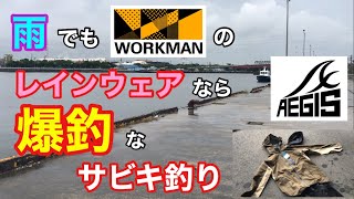 雨でもワークマンのレインウェアなら爆釣なサビキ釣り 衣浦湾 知多半島 [upl. by Lleder]