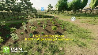 LS22 – Hof Bergmann  803 – Möge alles gut wachsen – [upl. by Inna]