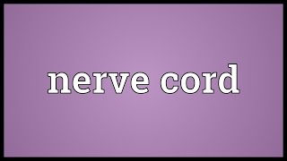 Nerve cord Meaning [upl. by Slrahc]