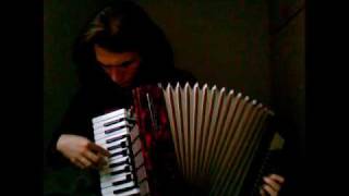 Nick Cave  Where the wild roses grow  accordion cover [upl. by Heater576]