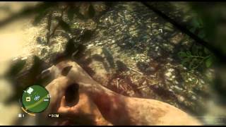 Far Cry 3 Where to Find Dingos [upl. by Nuncia]