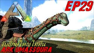 BGZ  ARK Umassoura EP29 จับไททันโนซอรัส Titanosaur [upl. by Ilhsa5]