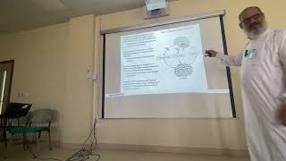 Part 2 of Adipose Tissue Hormones By Prof Dr M Yosof [upl. by Enrev910]