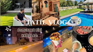 🐽ŞEHRİN ORTASINDA DOMUZLAR  GÖCEK DE HARİKA BİR VİLLADA KALDIK  Tatil vlog [upl. by Otes]