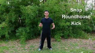 Wushu Fundamentals  Roundhouse Kick TUTORIAL [upl. by Alahsal]