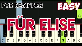 BEETHOVEN  FÜR ELISE  SLOW amp EASY PIANO TUTORIAL [upl. by Keviv]