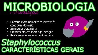 Aula Microbiologia Médica 7  Staphylococcus Características gerais [upl. by Stoeber]