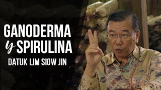 DXN Ganoderma y Spirulina Explicado por Datuk Lim Siow Jin [upl. by Janine]