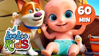 Animal Sounds  S2EP42 Musical Adventure Collection  LooLoo Kids Songs for Kids [upl. by Olympe]