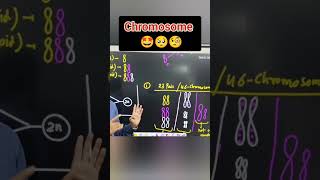 Human Chromosome  Ploidy in Human Chromosome chromosome ploidy gene viral shortindia [upl. by Lever]