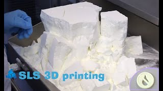 SLS 3D printing technology [upl. by Vokaay]