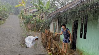 Goodbye Stress to Sleep Instantly with Heavy Rain amp Thunder on Old Metal Roof in Rainforest at Night [upl. by Oratnek]