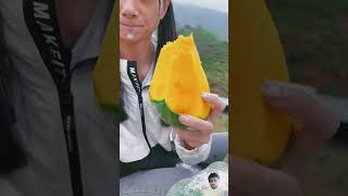 Best Viral Fruit Farming in Rural Life ytshorts fruit friutscutting [upl. by Hax]