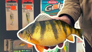 How to Catch GIANT Lake Cascade Perch and free tackle giveaway [upl. by Eatnahc]