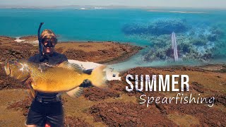 DAMPIER SUMMER SPEARFISHING good viz [upl. by Asilem]