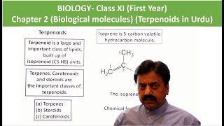 Lipids  Terpenoids  Terpenes  First Year Biology  Chapter 2  Part 13 [upl. by Esirrehc]