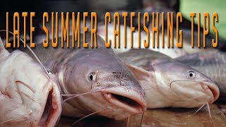 Catch More Catfish With These Four Summer Catfishing Tips [upl. by Odnamra]