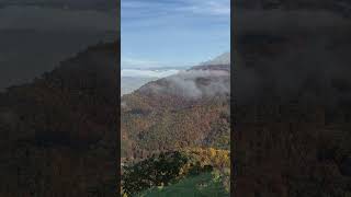 Check Out These Colors in the Appalachian Mountains [upl. by Sirahs]