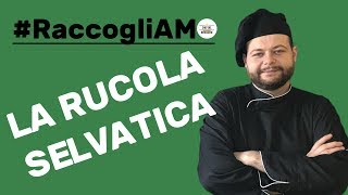 La Rucola Selvatica [upl. by Aianat352]