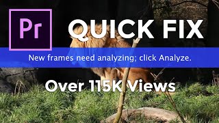 New Frames Need Analyzing HOW TO FIX in Premiere Pro in 2023 Tutorial [upl. by Ayidah]