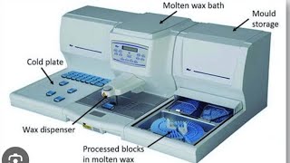 Tissue Embedding  Histopathology part 4 [upl. by Krystal]