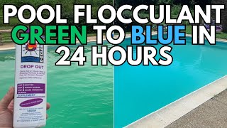 Pool Flocculant  Fastest Way to Clean Stubborn Pool BLUE WATER IN 24 HOURS [upl. by Bart]