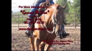 Gunna Be Sure Reining Mare For Sale [upl. by Raynard]