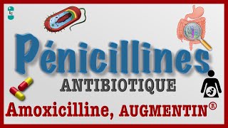 Les Pénicillines  TOUT Savoir  Antibiotiques AMOXICILINE AUGMENTIN Pharmacologie et Toxicité [upl. by Ynittirb]