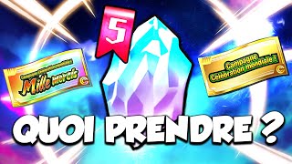 Quels TICKETS prendre avec vos DS MÉMORABLES    Multi 10 Dokkan Fest   DBZ Dokkan Battle [upl. by Avehs]