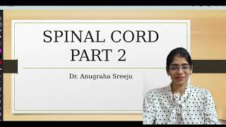 SPINAL CORD ANATOMY PART 2  NEET PG FMGE [upl. by Egiaf]