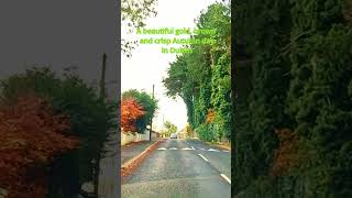 Dublin Ireland dublin ireland dashcam [upl. by Ruthe842]