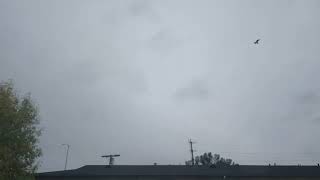 Nimbostratus clouds timelapse 12024 [upl. by Yevad]