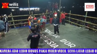 PENCAK DOR KEDAWUNG BLITAR 6 OKTOBER 2018 [upl. by Eade302]