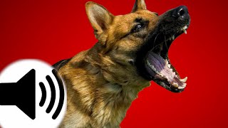 Dogs Barking Sound Effect [upl. by Ahsiam471]